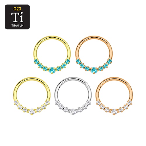 Segmentring 1.2mm i titanium med gångjärn och CZ crystals