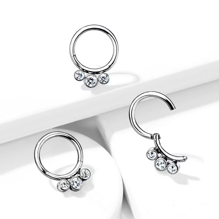 Septum segmentring i titanium med gångjärn 1.2mm och 3st crystals