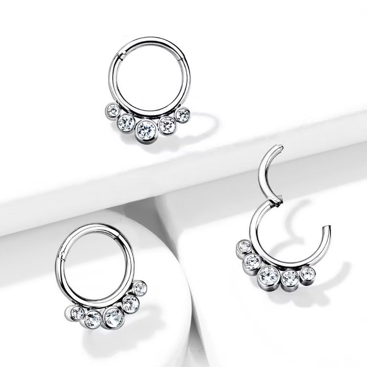 Septum segmentring i titanium med gångjärn 1.2mm och 5st crystals
