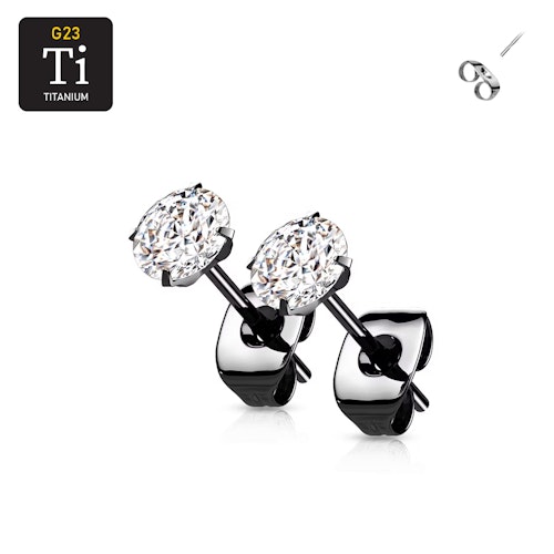 Titanium örhänge svart-PVD pläterad med rund cubic zirconia (par)