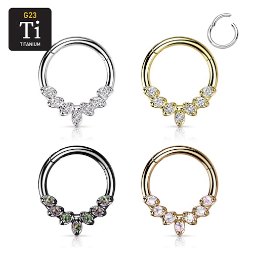 Segmentring i titanium med gångjärn och 7st prong-set CZ i fronten