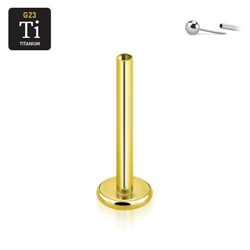 Threadless labret i handpolerad titan 1.2mm med 4mm bas guld PVD (lös del)