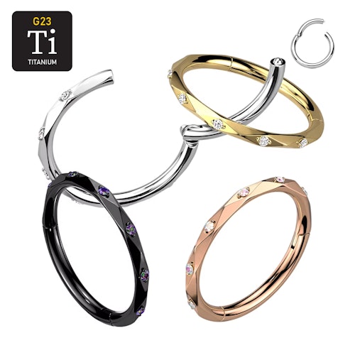 Segmentring i titanium 1.2mm med diamantslipad kant och cubic zirconia