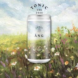 GBG Soda Äng 25cl 24st