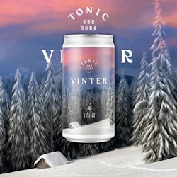 GBG Soda Vinter 25cl 24st