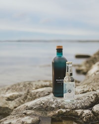 Ekobryggeriet Tonic Fläder/Havssalt 20cl 12 st
