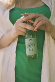 Ekobryggeriet Drink Mixers Ginger Ale 20cl 12 st