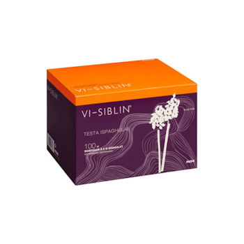 VI-SIBLIN / 100X6 G - SE