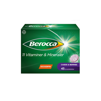 BER. ENERGY CASSIS & BERRIES X45