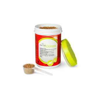 EQUITOP GONEX 20% 750G