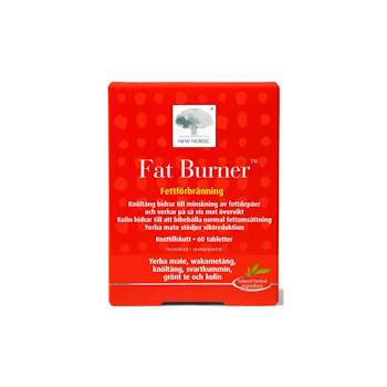 FAT BURNER 60ST
