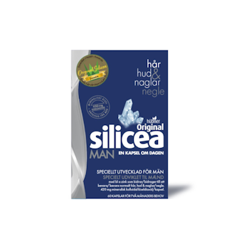 ORIGINAL SILICEA MAN 60ST