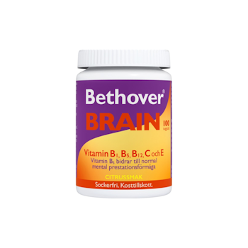 VERMAN BETHOVER BRAIN