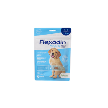 FLEXADIN YOUNG DOG MAXI 60