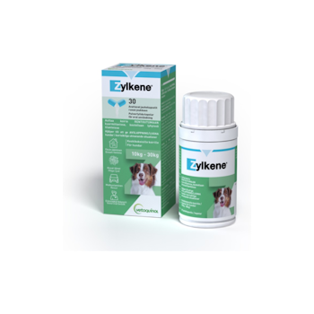 ZYLKENE 225MG 30ST