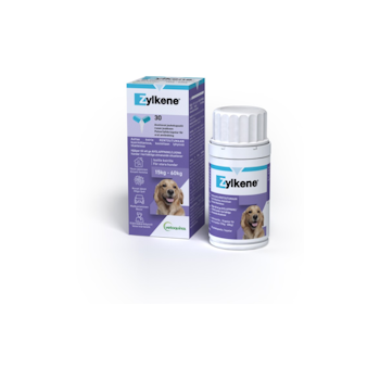 ZYLKENE 450MG 30ST