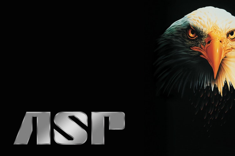 ASP TALON 50cm Disc Loc Expanderbatong
