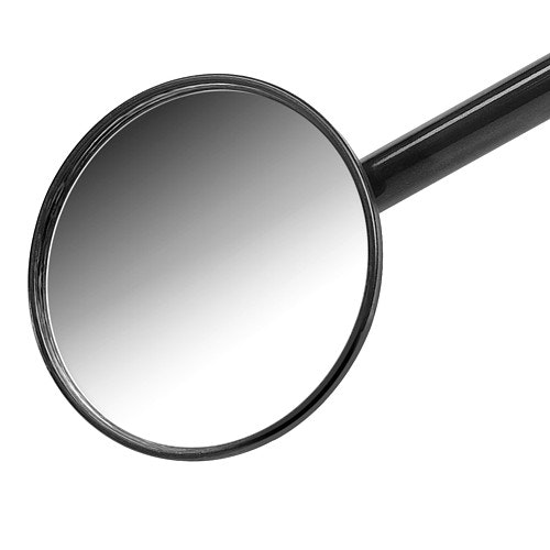 ASP TACTICAL MIRROR AND CASE - Batongspegel med ficka