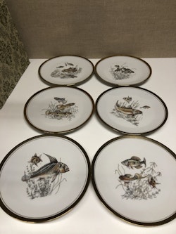 6 FOOD PLATES, porcelain, SCHONWALD.