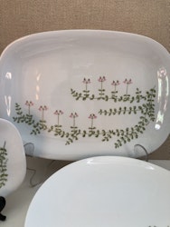 DINNER SERVICE 21 pieces, porcelain, Thomas Germany.
