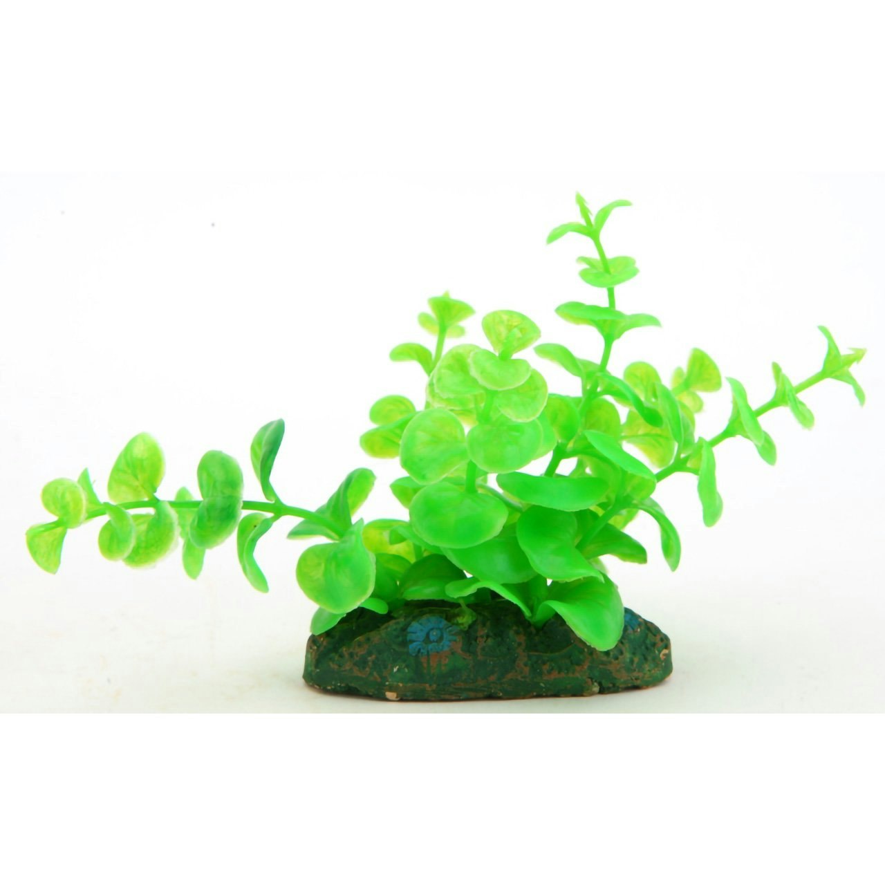 Plastik Planter - aquahobby