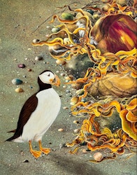 "Lunnafågeln" av Bjørn Lindow, Akryl på duk 80x100cm