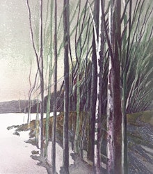 "Skogen vid sjöstranden" Litografi av Bengt Andersson Råssbyn 50x57 cm