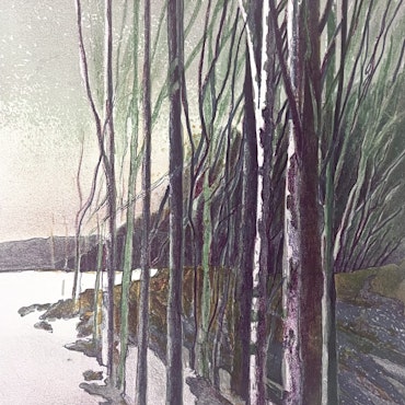 "Skogen vid sjöstranden" Litografi av Bengt Andersson Råssbyn 50x57 cm