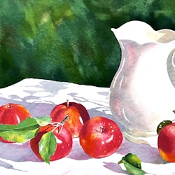 "Äpplen och Kanna" Litografi av Eva Ljungblad. 61,5x45 cm
