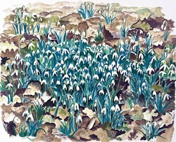 "Blomängen" Litografi av Evy Låås. 63x47,5