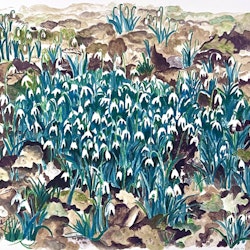 "Blomängen" Litografi av Evy Låås. 63x47,5