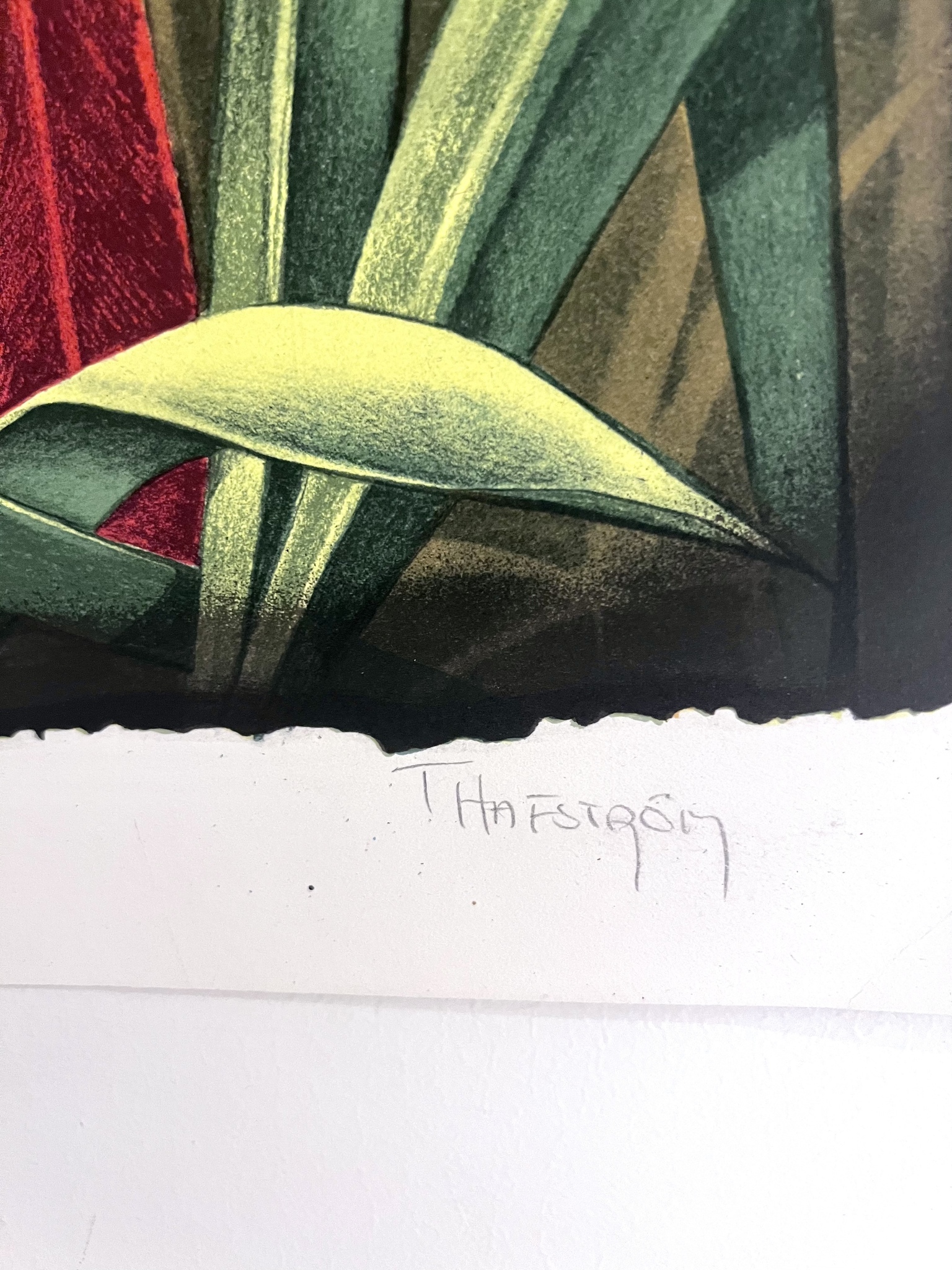 "Papegoja" Litografi av Thomas Hafström. 46x63 cm