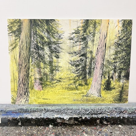 Ingvar Andersson, Akvarell  "Vårskog", bladstorlek  51 x 36,5 cm.