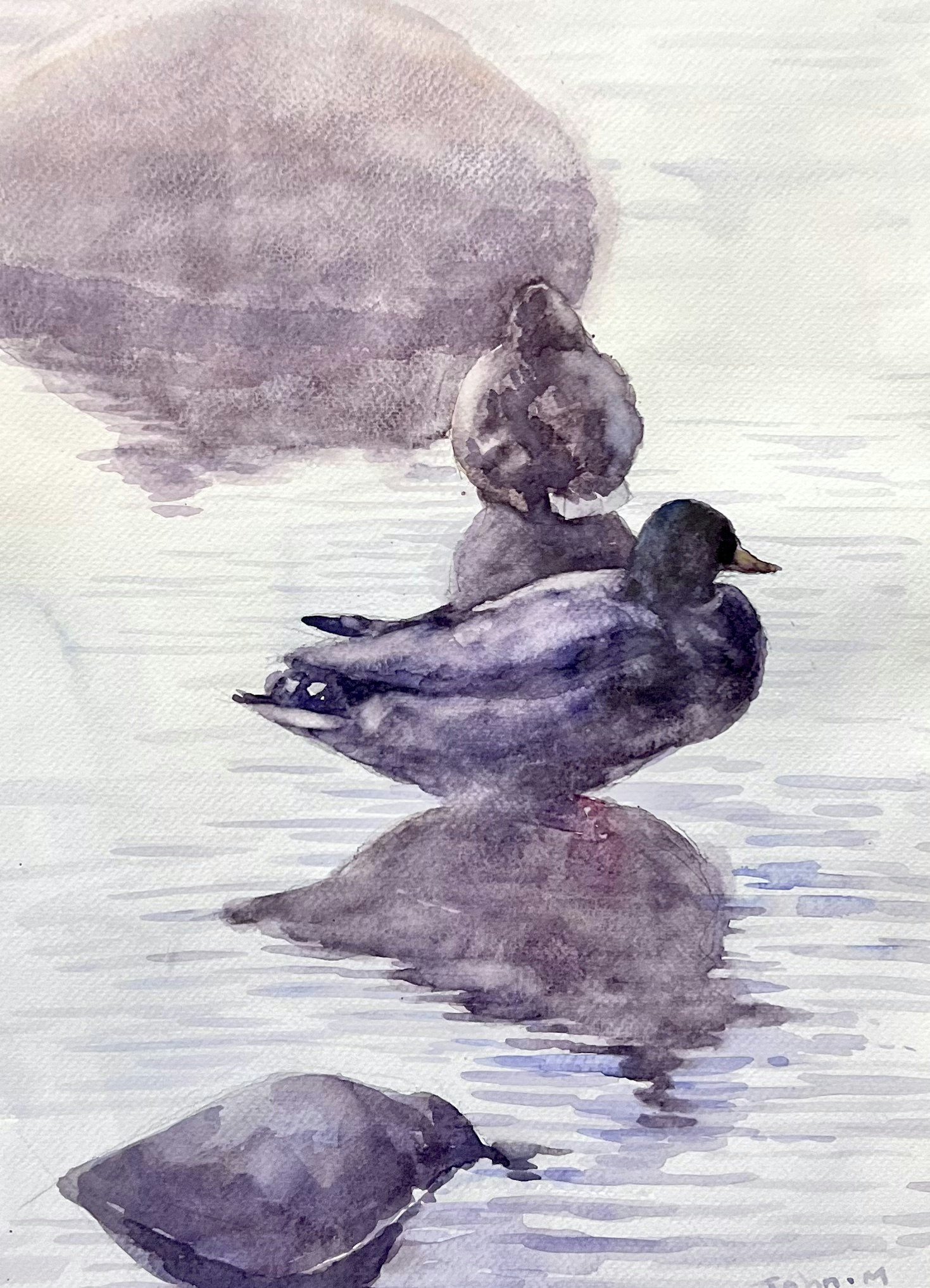 John Ma, "Resting Ducks", Akvarell, 44x54 cm