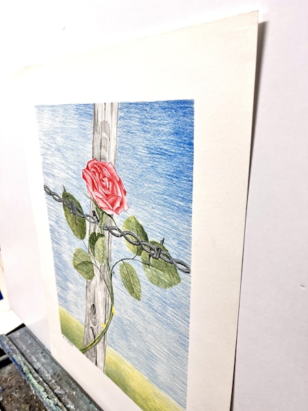 "Rosen", Färglitografi av Stig "Vidi" Åsberg. 47x62 cm