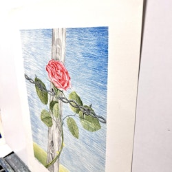 "Rosen", Färglitografi av Stig "Vidi" Åsberg. 47x62 cm
