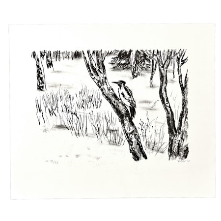 "Fågeln" Litografi av Evy Låås. 36,5x32 cm