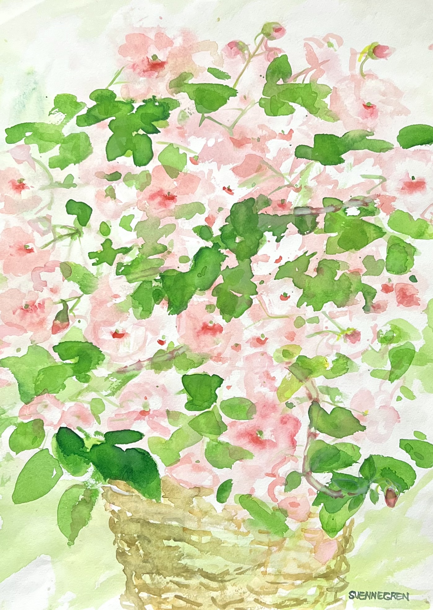 Akvarell av Solveig Svennegren. 36x48 cm