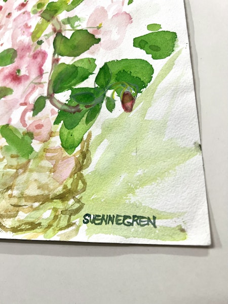 Akvarell av Solveig Svennegren. 36x48 cm