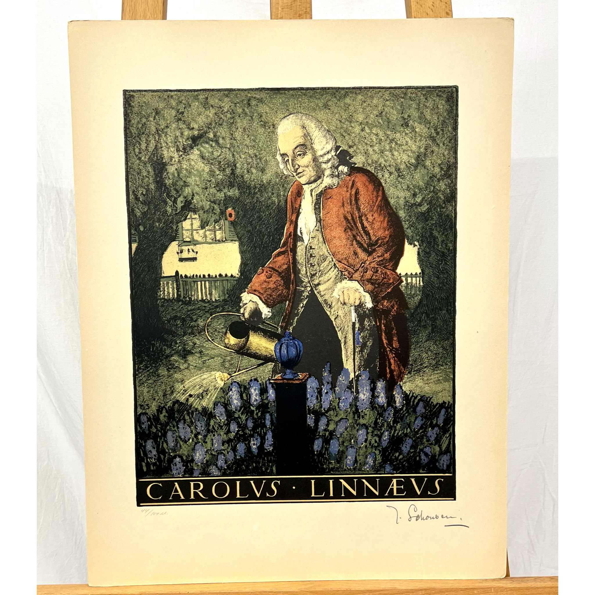 "Carolus Linnaeus" Grafisk blad av Thorsten Schonberg ur mappen "Svenska Stormän". Nr 44/100. 40x52 cm