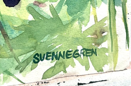 "Lupinus" Akvarell av Solveig "Lilli" Svennegren. 51,5x64 cm