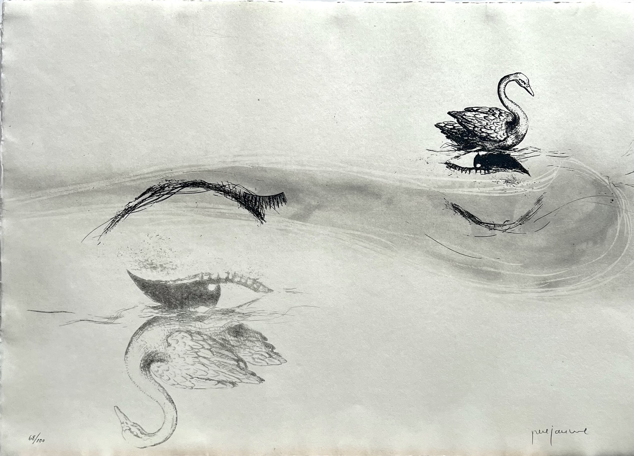 "Los cisnes" Litografi av Perejaume. nr 68/100. 57x38 cm
