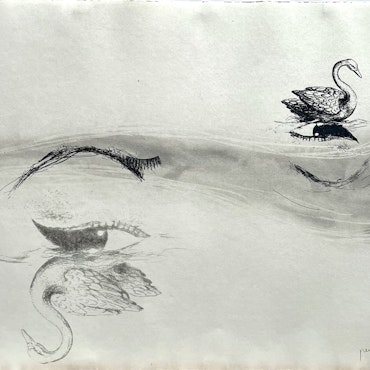 "Los cisnes" Litografi av Perejaume. nr 68/100. 57x38 cm
