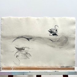 "Los cisnes" Litografi av Perejaume. nr 68/100. 57x38 cm