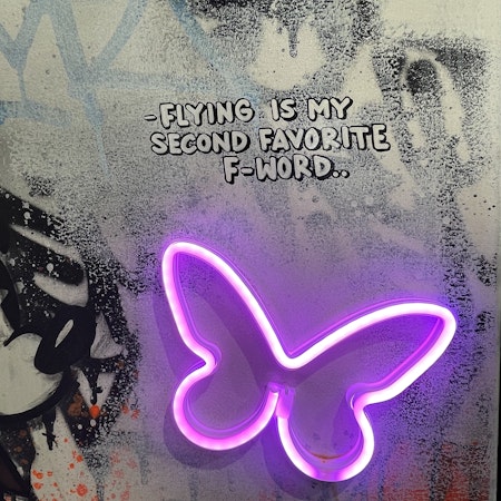 Flying is my 2n fav f-word, Blandteknik på duk med neon av Mike Blomqvist, 83x63 cm