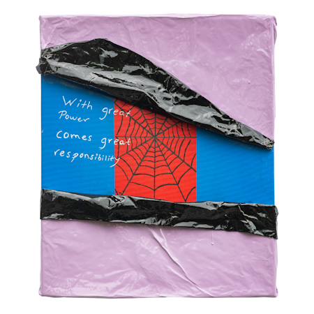 Spidy, Mixed media av Adam Ström. 56 x 47 cm. Tavla, del av serien Wrapped