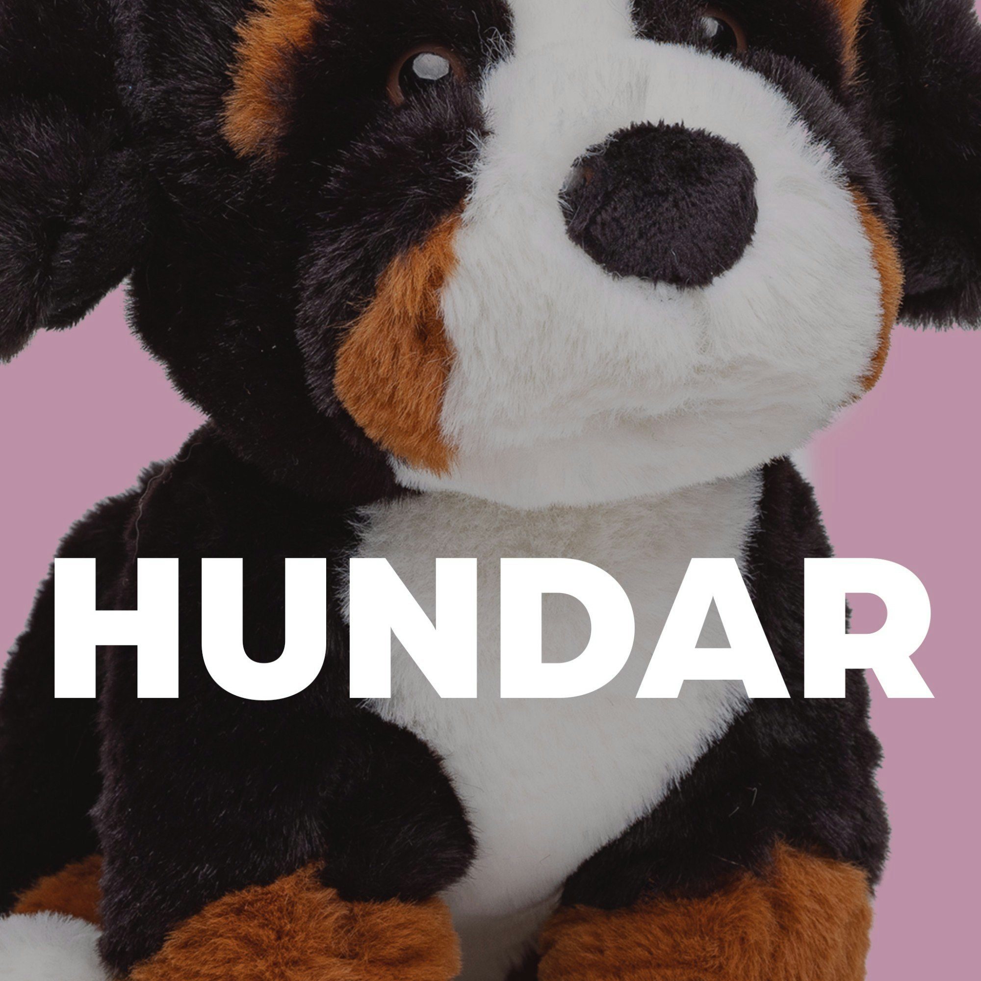 Hundar - Molli Toys