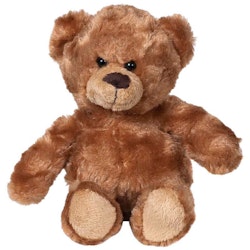 Björnen "Teddy"