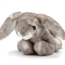 Kaninen "Hoppy"