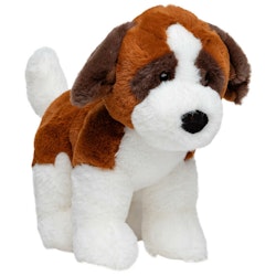 Hund Sankt Bernard "Voffe"